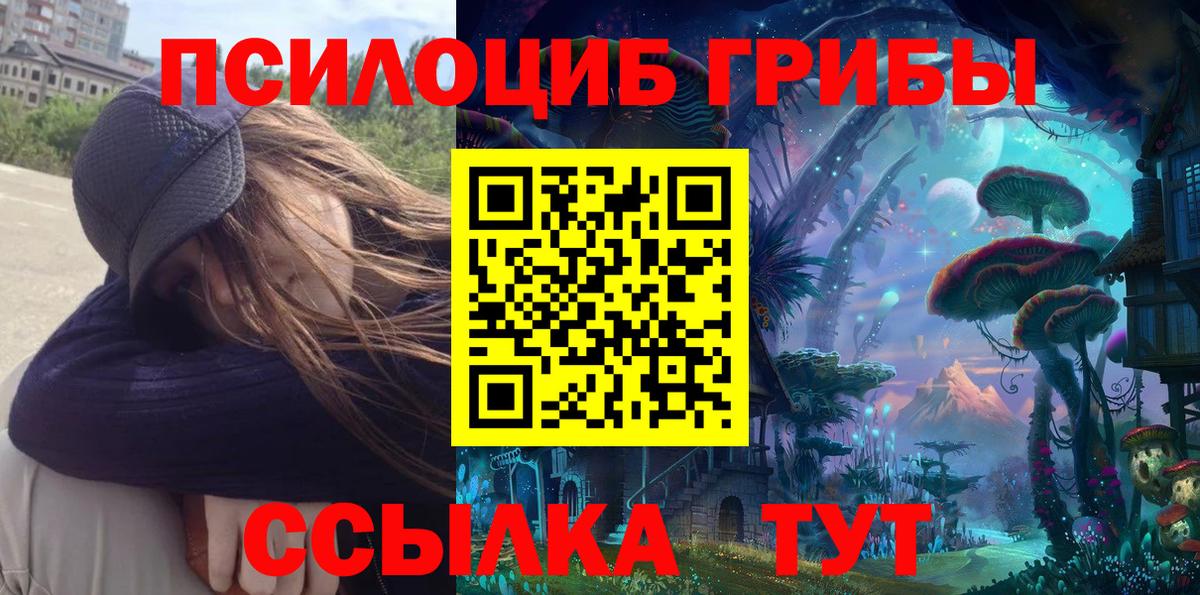 Ростов Великий  Галлюциногенные грибы Psilocybine cubensis  Вход с VPN 