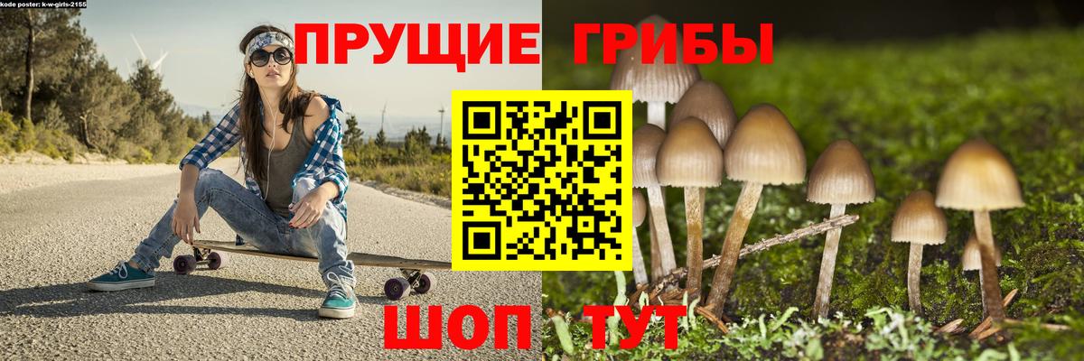 Галлюциногенные грибы Psilocybine cubensis Ростов Великий